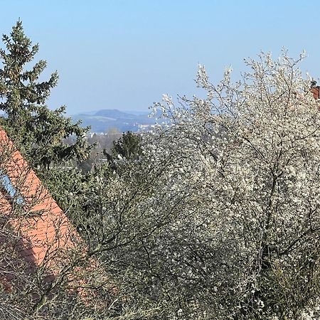 Ferienwohnung Дрезден Экстерьер фото